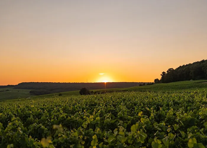 LOISIUM Wine&Spa Hotel Champagne